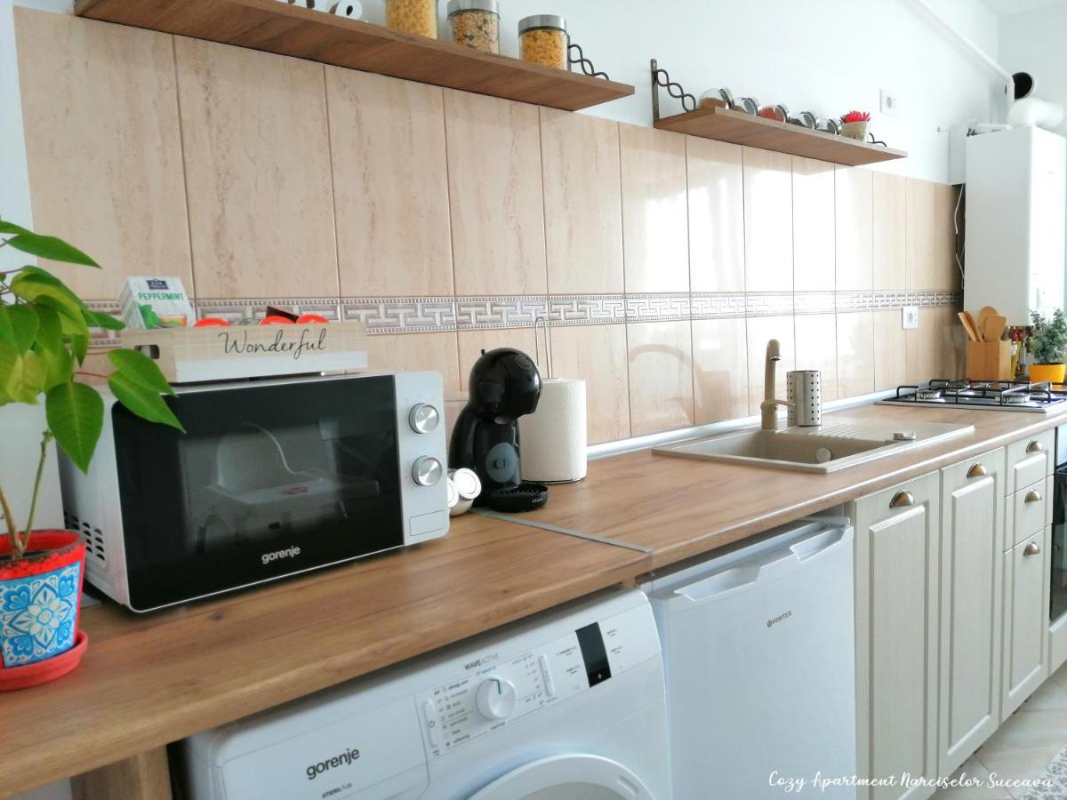Cozy Apartment Narciselor Suceava Ipotesti  Exterior foto
