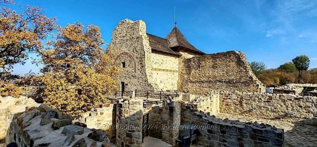 Cozy Apartment Narciselor Suceava Ipotesti  Exterior foto